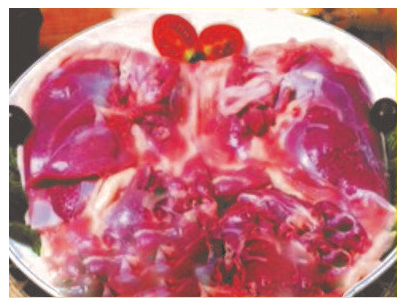 생통오리